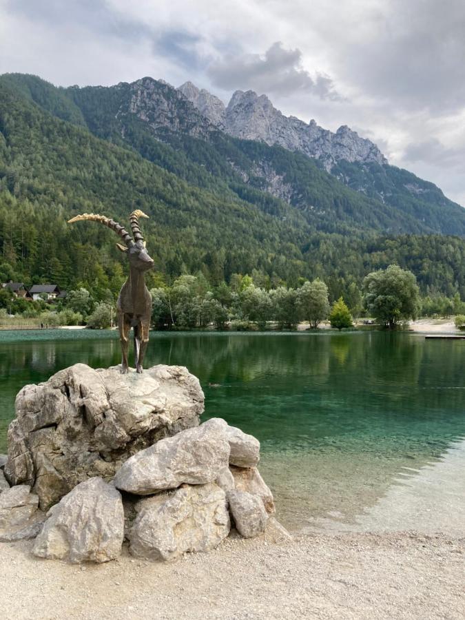 Apartments Belopeski Dvori Kranjska Gora Bagian luar foto