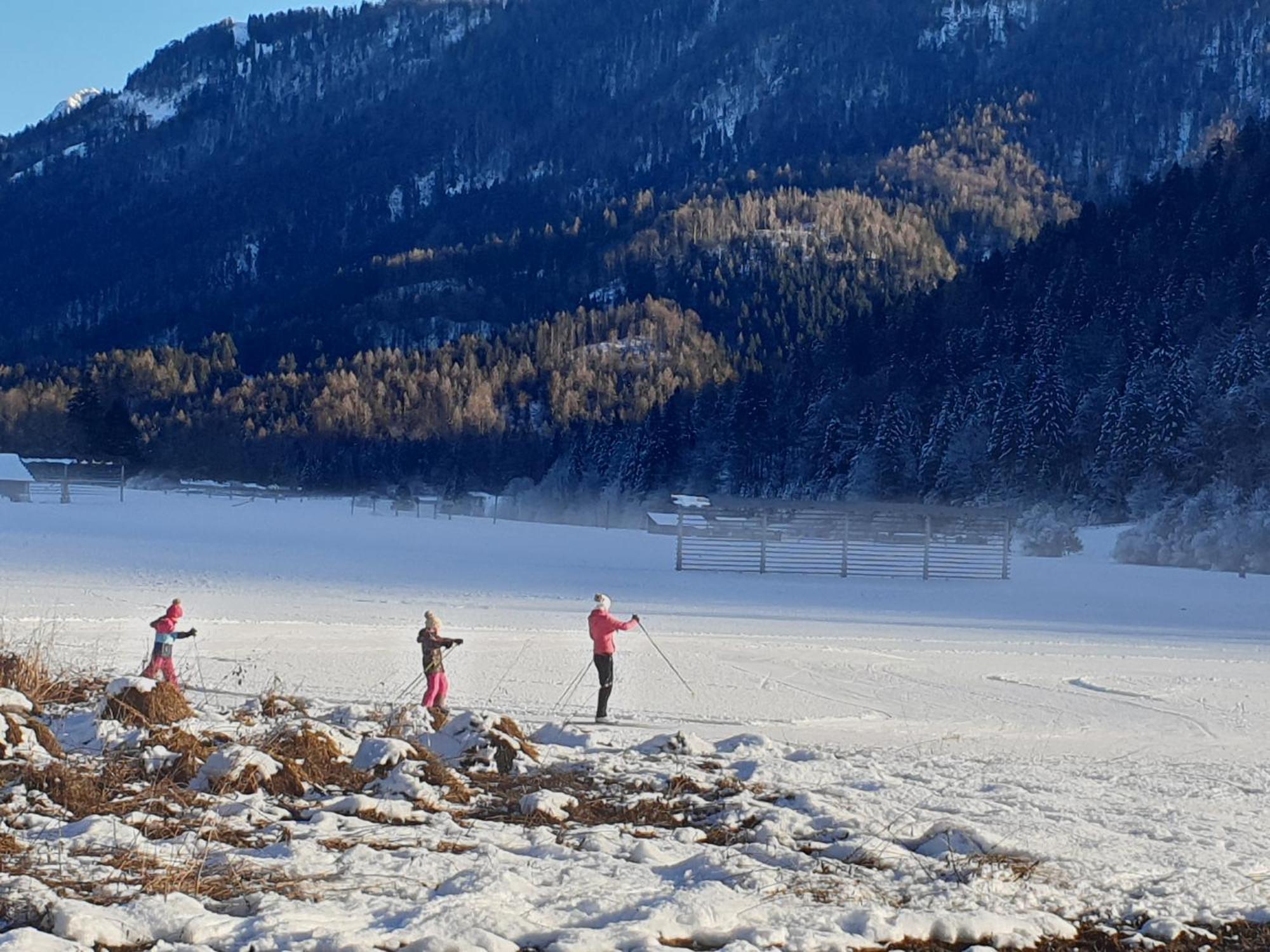Apartments Belopeski Dvori Kranjska Gora Bagian luar foto